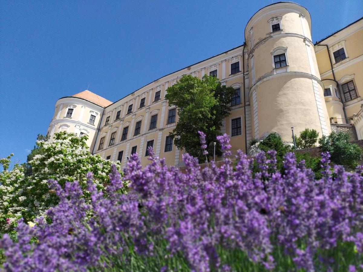 Apartman Jan Breclav Exterior photo